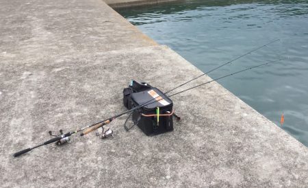 豆アジ ネンブツダイメッキ